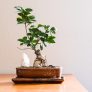 读者客厅大屏阿May的头像，居家观影场景下的个人照片占位